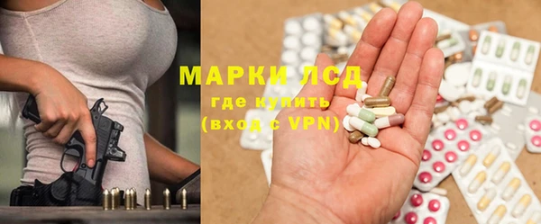 сатива Сатка