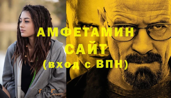 сатива Сатка