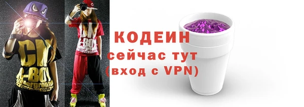 сатива Сатка