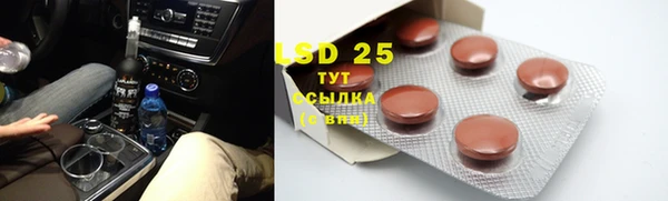сатива Сатка