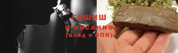 сатива Сатка