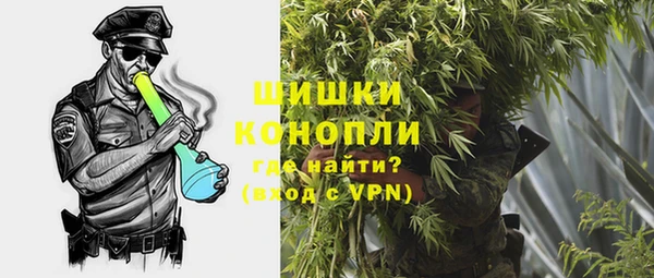 сатива Сатка