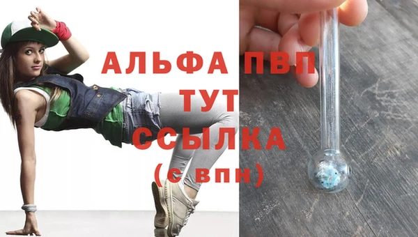 сатива Сатка