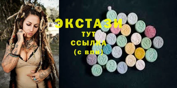 сатива Сатка