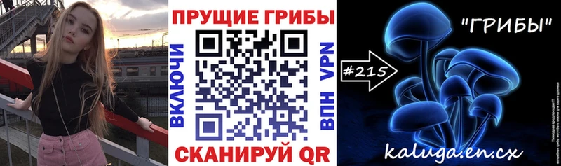 Галлюциногенные грибы MAGIC MUSHROOMS  как найти закладки  блэк спрут рабочий сайт  Терек 