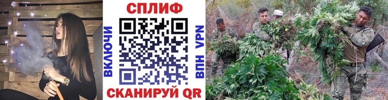 Шишки марихуана планчик Терек